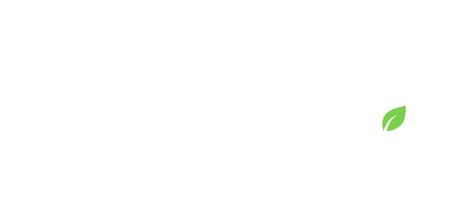 Systemtechnik Frank — Starlink, Netzwerk, Sicherheit